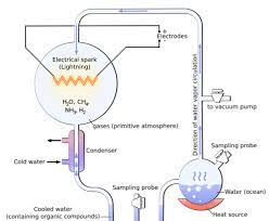 A questão de como surgiu a vida na terra sempre intrigou os cientistas. Unterschied Zwischen Abiogenese Und Biogenese Wissenschaft Der Unterschied Zwischen Ahnlichen Objekten Und Begriffen