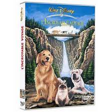 Fox, sally field, don ameche, kim greist, kevin chevalia, anne christianson, ted d'arms langue originale: L Incroyable Voyage Duwayne Dunham Dvd Zone 2 Achat Prix Fnac