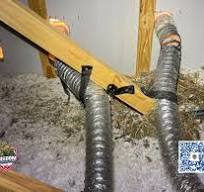 Bird Nest Removal and Dryer Vent Cleaning in Clayton, NC
