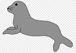 Beragam jenis paus by leepunya.files.wordpress.com resolution: Free Sea Lion Pinniped Cute Cartoon Seals Marine Mammal Mammal Png Pngegg