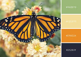 Trouvez L Inspiration Pour Votre Prochain Projet Avec Ces 101 Combinaisons De Couleur Le Blog De Shutterstock Palettes De Couleurs Vives Combinaisons De Couleurs Signification Des Couleurs