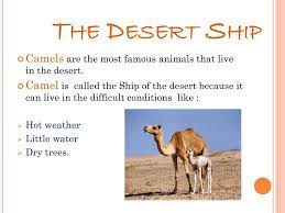 Camels are known as ships of the desert because they can move across desert sands easily providing a mode of transportation for people in desert areas. Ppt Desert Animals Powerpoint Presentation Free Download Id 2761138