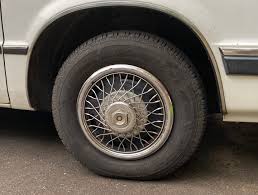 Image result for Bright White 1993 Dynasty