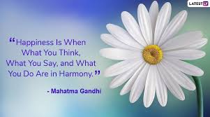 Image result for Holland Blue 2024 Fleet