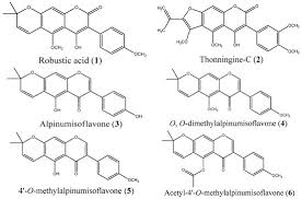 Image result for Millettia thonningii
