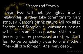 Communication can be difficult at times though as cancers can be moody and easily hurt. 20 Quotes About Cancer Scorpio Relationships Scorpio Quotes