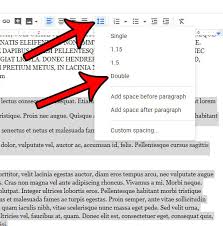 Rest easy knowing your academic paper is in good hands. How To Double Space On Google Docs Desktop And Ios Solve Your Tech