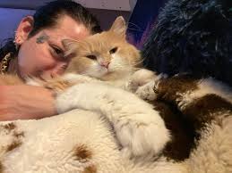 Absolutely ❤️❤️❤️