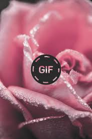 صور ورود متحركه Gif For Android Apk Download