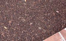 We've broken down some common mulch types and colors to help you. Mulch Wikipedia