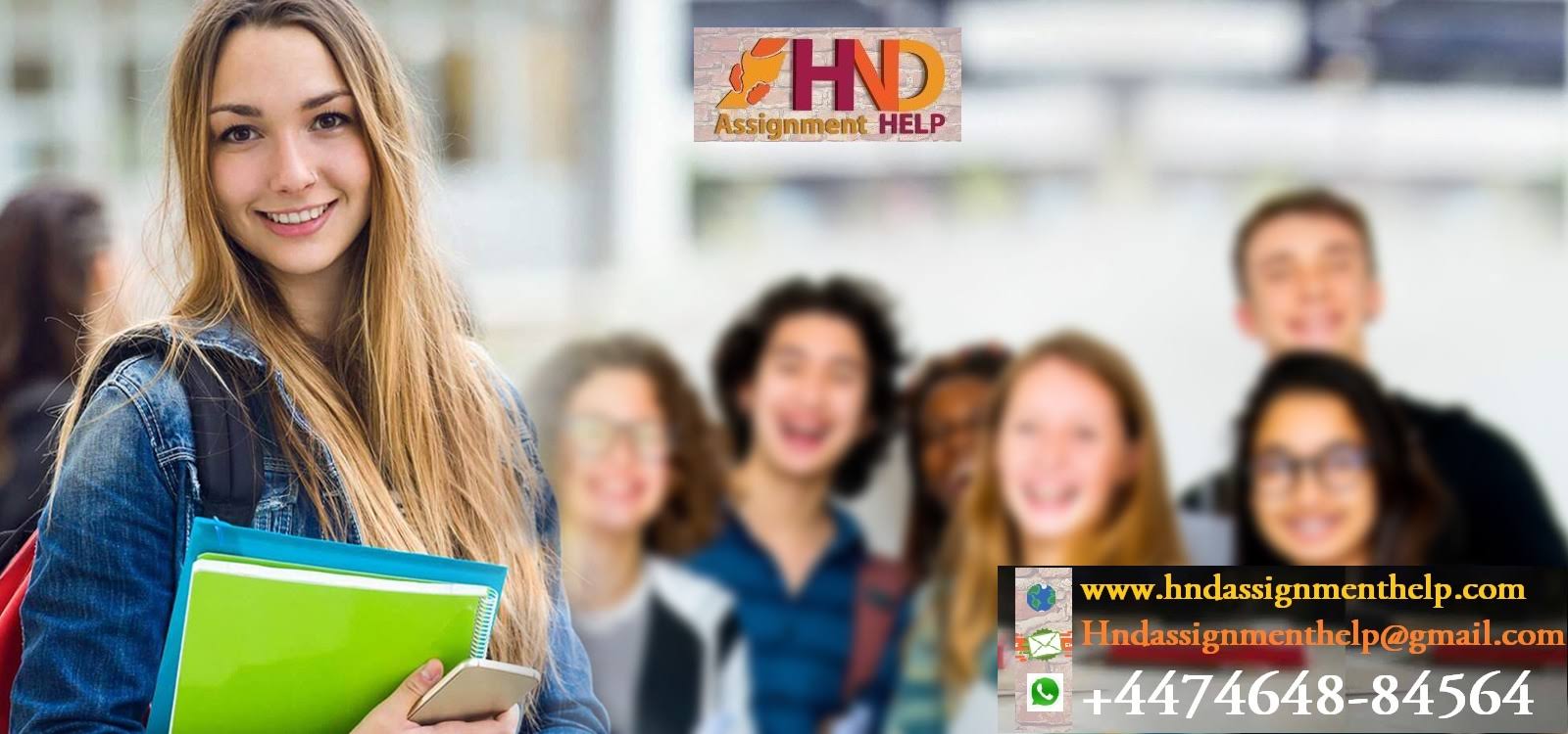 Xero Assignment help product image