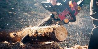 How To Split Wood Splitting Firewood Guide 2019