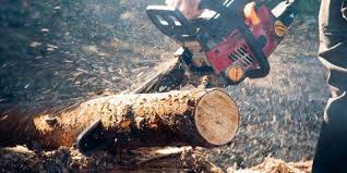 how to split wood splitting firewood guide 2019