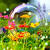 Love Wallpaper Download