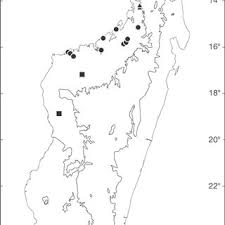 Avec son millier de volontaires bénévoles, elle se concentre sur la prévention. 18561 Pdfs Review Articles In Madagascar