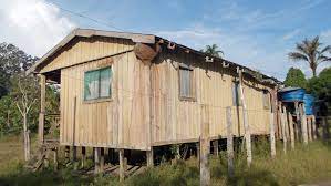 Somos paz, somos respeito, somos amor, somos yanomamis. Das Haus Fur Kurikama Muss Renoviert Werden Yanomami Hilfe E V