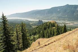Washington State Oregon Hamilton Mountain Nesmith Point Hiking Columbia River Gorge Landscape Pikist