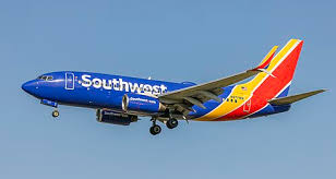 Image result for Tan 1992 Fleet