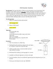 Strawberry dna extraction this dna extraction activity has been designed for a class of 32 students working in pairs. 2y8 Esmerx0hm