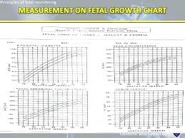 ana weight chart achievelive co