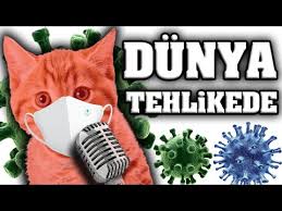 Evdekal Enes Batur Dolunay Parodi Konusan Kediler Youtube