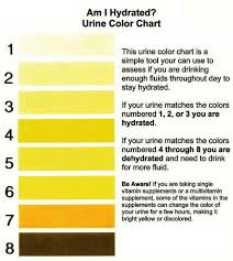 Am I Hydrated Urine Color Chart Health How To Stay