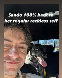 Aaron Warnock (@aaron_warlock) • Instagram photos and videos