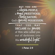 1 peter 2 is the second chapter of the first epistle of peter in the new testament of the christian bible. 1 Peter 2 9 Daily Verse Kcis 630