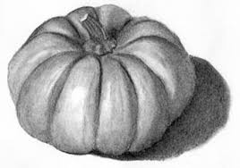 Blog Archives Pumpkin Drawing Charcoal Art Fruit Art Drawings