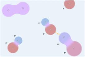 So everything has intermolecular forces. Solved The Image Below Shows A Mixture Of Polar And Nonpolar Molecules What Type Of Intermolecular Force Is Shown By The Dashed Yellow Line Course Hero