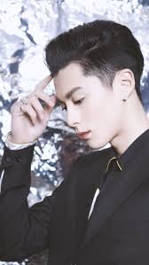 Name in native language: 王鹤棣Romanization: Wáng Hè Dì Born: December 20,  1998 Chengdu, Sichuan, China Occupations: Actor Portrays: Dao Ming Si Wang  He Di (Chinese: 王鹤棣; pinyin: Wáng Hè Dì, born