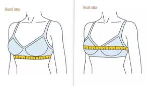 What Is The Meaning Of Letters B C Etc In Women Bra