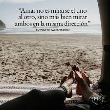 40 Frases De Amor Y Desamor Para Reflexionar