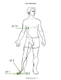 Liver Meridian