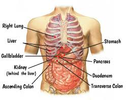 Pin On Food S For Health Thought