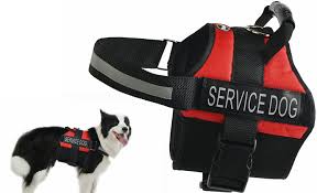 12 Best Service Dog Vests And Harnesses 2019 A Reviews