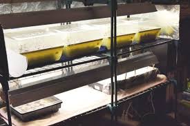 So i offer you a basic diy grow light stand made entirely of. How To Build A Diy Grow Light System On A Budget