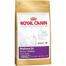 Royal Canin Maltese Bichon Maltais Yetiskin Kopek Mamasi 1 5 Kg