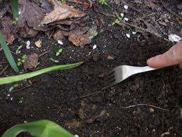 Le marc de café est un produit écologique aux multiples usages et qui mérite d'être recycler pour votre jardin et pour le plus grand bien de vos plantes ! Marc De Cafe Un Engrais Et Pesticide Au Jardin Consommer Durable