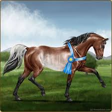 Virtual horse games online for free to play. Pin On Horse Everythings