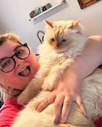 Constance Harvey (@guedille_poulet) • Instagram photos and videos