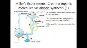 Ap Biology The Origin Of Life Youtube
