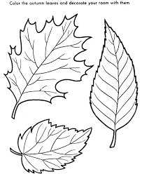 Palm tree coloring pages printable tree coloring page leaf coloring page animal coloring pages free printable palm tree coloring pages. Free Printable Leaf Coloring Pages For Kids