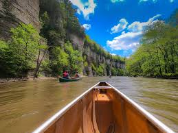We did not find results for: Upper Iowa River Canoeing Adventure In The Driftless Region