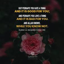 Di antaranya adalah penolakan ikut berperang yang akan berakibat jatuhnya negeri dan. Surah Al Baqarah