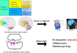 Developments in Biological Mechanisms and Treatments for Negative Symptoms  and Cognitive Dysfunction of Schizophrenia