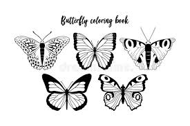 Black White Butterfly Clip Art Stock Illustrations 1 586 Black White Butterfly Clip Art Stock Illustrations Vectors Clipart Dreamstime Download black butterfly drawing vector clip art for free. black white butterfly clip art stock