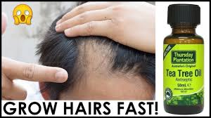 It can help remove the bacteria, viruses, and fungi that have gotten. How To Use Tea Tree Oil For Hair Growth How To Get Long Hairs Fast By Tea Tree Oil Youtube