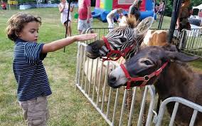 In addition to independent petting zoos, many general zoos contain a petting zoo. Sam S Path Petting Zoo In Hartwell Georgia