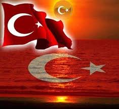 13495280 1552279744798273 4163087382261855717 N Jpg 600 550 Hayvan Duvar Kagidi Arabesk Bayrak